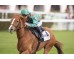  Carrera: P.Arkaitz Monta: S.Ruis Caballo: Rush in the City